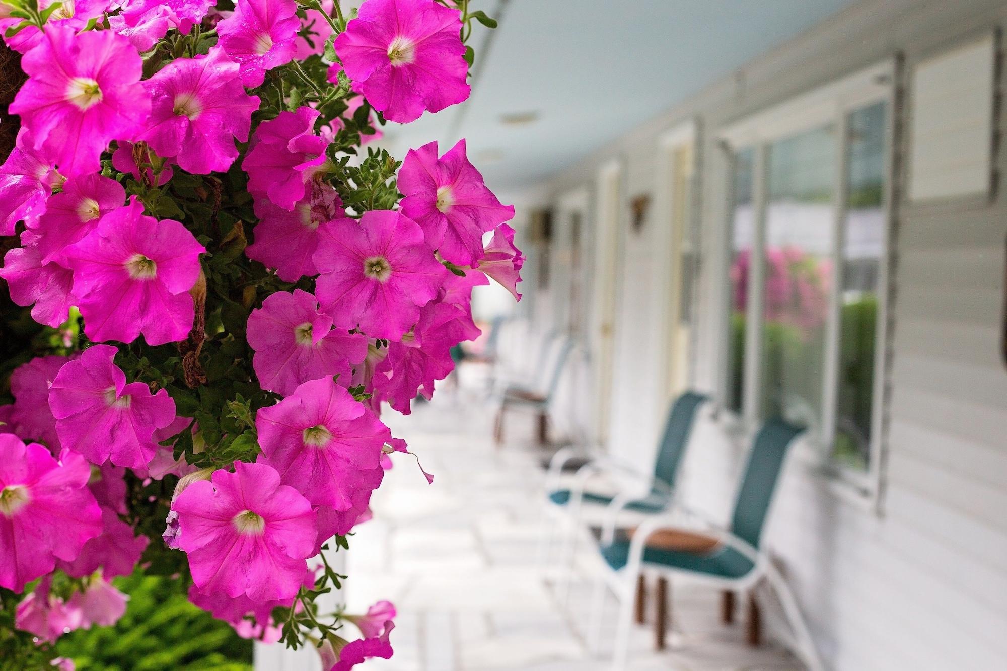 מנצ'סטר The Palmer House Resort, Ascend Hotel Collection מראה חיצוני תמונה